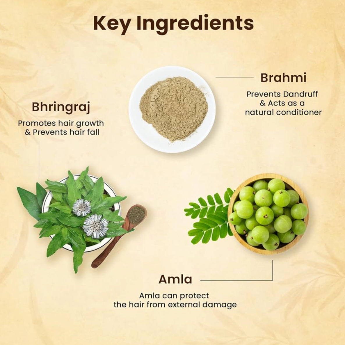 🌿 Jamalghota Hair Growth Oil – Pack of 2 (30ml Each)